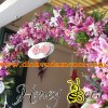 cong hoa tuoi 34.jpg